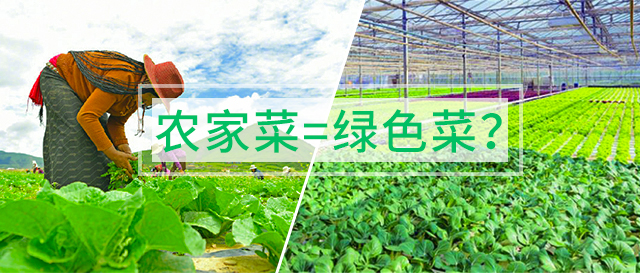 【科普】農(nóng)家菜=綠色蔬菜？拒絕被忽悠