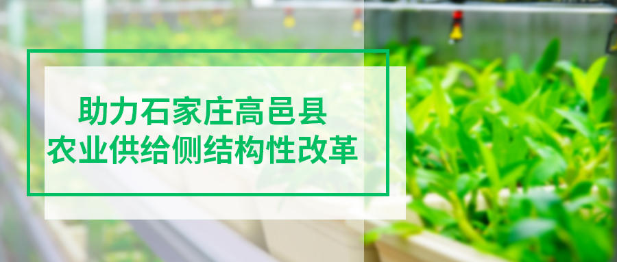 [上蔬源]助力石家莊高邑縣農(nóng)業(yè)供給側(cè)結(jié)構(gòu)性改革