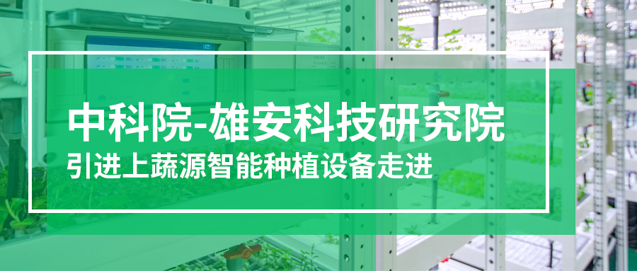 中科院-雄安創(chuàng)新研究院引進(jìn)【上蔬源】智能種植設(shè)備，助力“智慧”農(nóng)業(yè)從實驗室走向產(chǎn)業(yè)應(yīng)用
